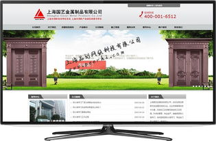 專業(yè)網(wǎng)絡(luò)技術(shù)服務(wù) 松江網(wǎng)站建設(shè)、制作與設(shè)計(jì)解決方案